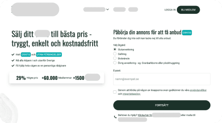 UX & Frontend